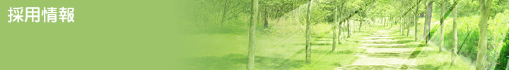 採用情報